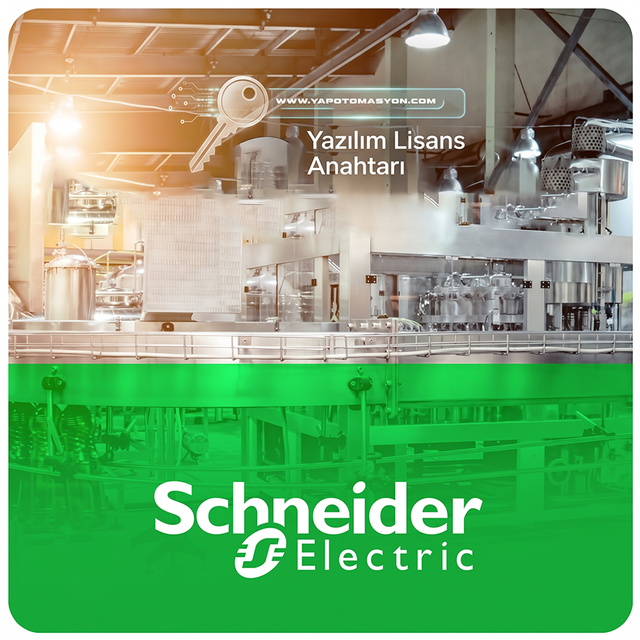 Schneider InTch30N231, AVEVA InTouch HMI 2023 R2, 2500 Tag, I/O Destekli Workstation Lisansı