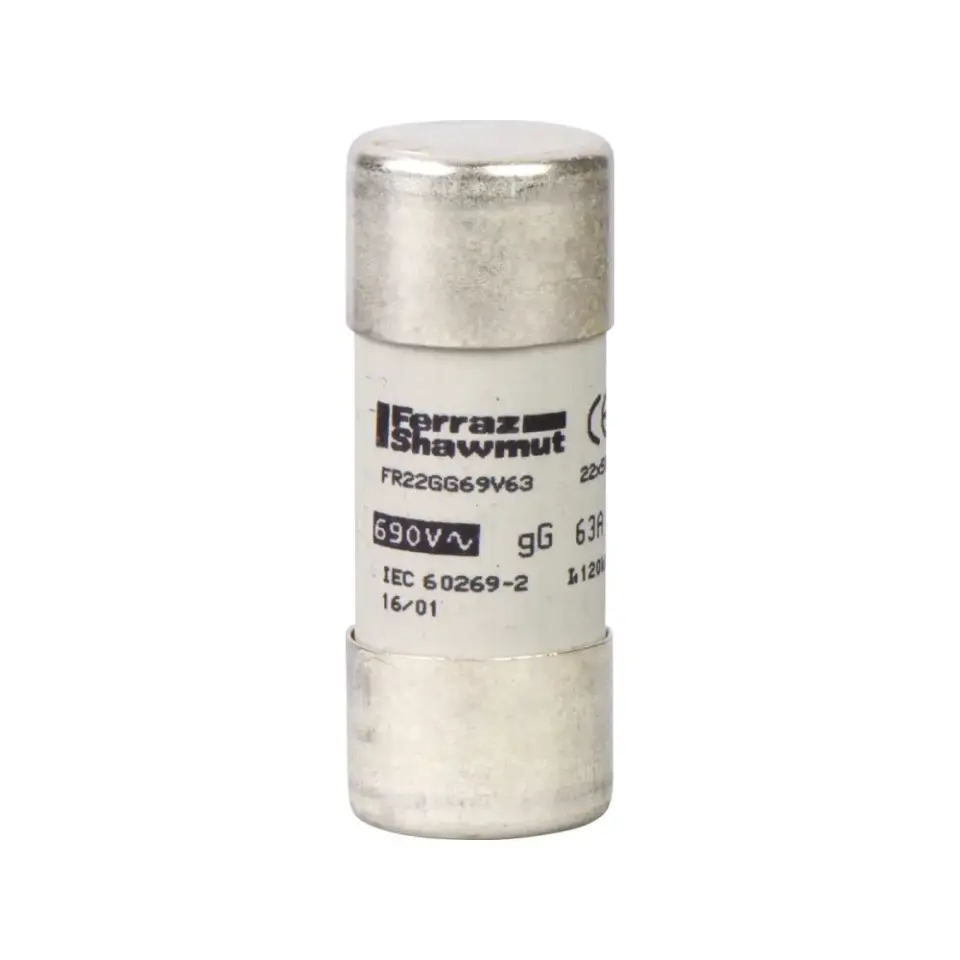Schneider Electric DF2FN100, TeSys DF, 100 Amper, Kartuş Sigorta, 22x58mm, gG Tip