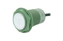 Autonics PRA30-10AO 10mm NA 100-240VAC Teflon Kaplı Endüktif Sensör